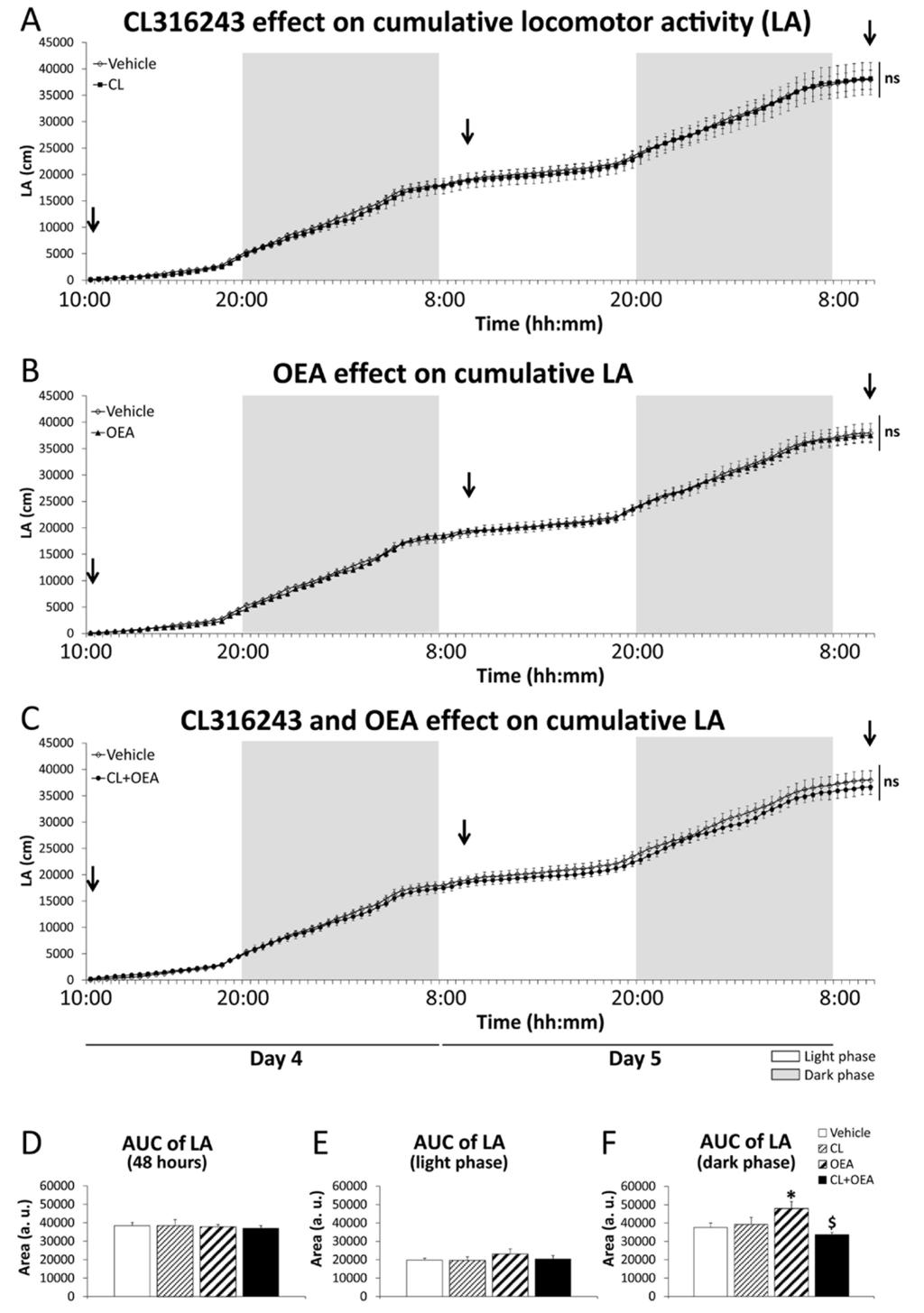 Fig. S3. Effects of repeated administration of CL316243 (1 mg/kg) and/or OEA (5 mg/kg) on cumulative locomotor activity (LA) (A-C) for 48 hours after 4 days of treatment.