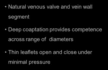 Rationale Natural venous valve