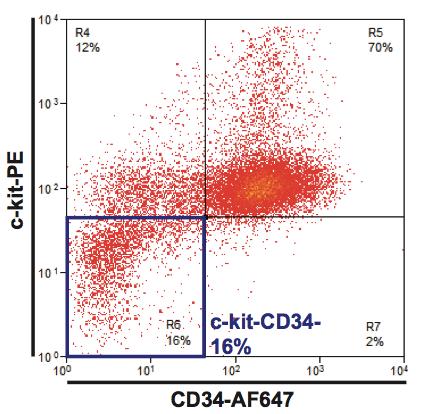 Figure 1. Erythroid differentiation of EML cells. A representative plot of flow cytometry analysis at day 4 is shown; c-kit - CD34 - cells are Sca1 lo/-.