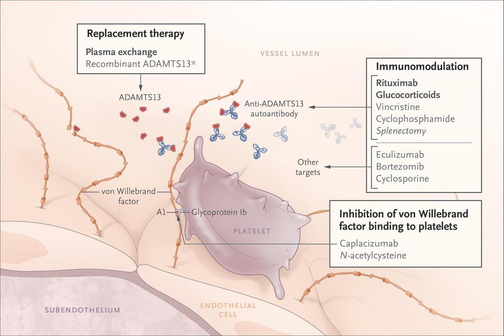 Current and novel therapies Plasma infusion FVIII