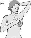 Many women do the next part of the examination in the shower because the hand moves easily over wet, slippery skin. 4. Raise the left arm.