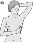 Moving the fingers in small circles around the breast, begin at the nipple and gradually move outward. Press gently but firmly, feeling for any unusual lump or mass under the skin.