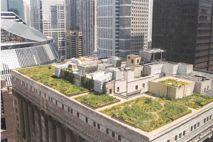 Green Roof - Chicago City