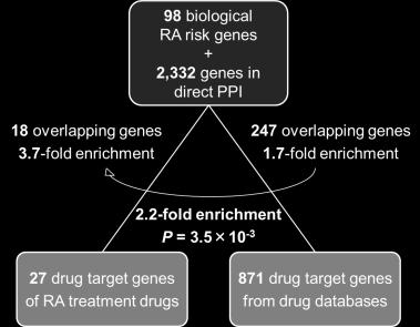 ~ Overlap of RA risk genes and RA drug target genes ~ ~ Overlap of RA risk genes and RA drug target genes ~
