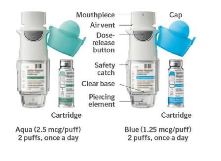 New Inhaler Devices: Respimat