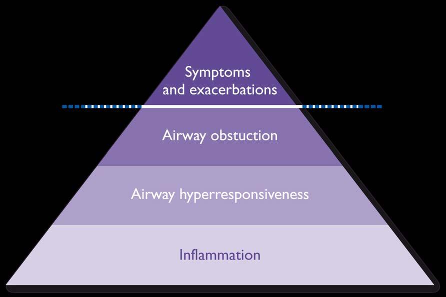 ASTHMA CONTROL REQUIRES TREATING UNDERLYING PATHOPHYSIOLOGY Symptoms and