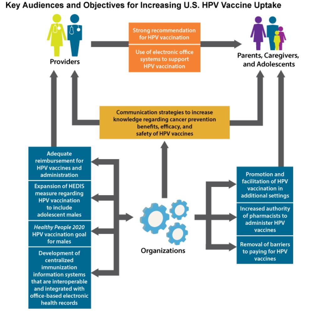 Accelerating HPV Vaccine