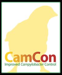 Interventions at the farm CamCon project (2010 2015) Risk factor study at the farm How are farm management practices related to Campylobacter flock