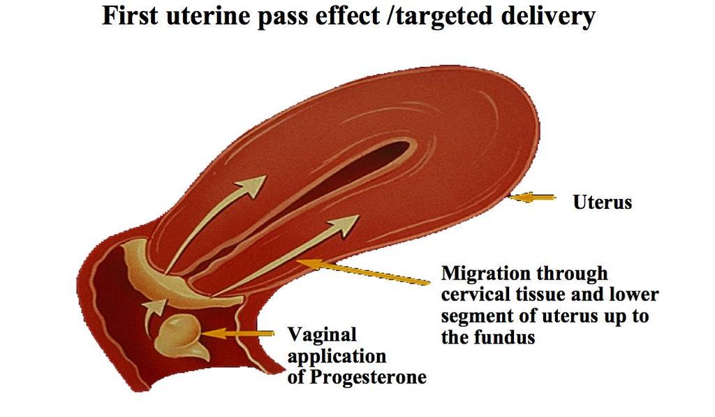 Why doctors prefer intravaginal progesterone PNAS 1997 Model: