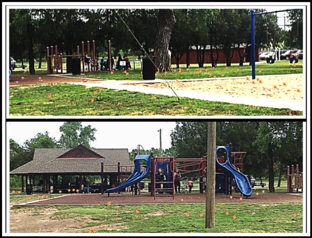 Council districts and Sedgwick County Park.