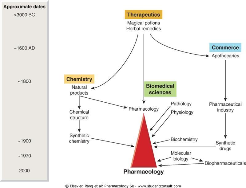 Introduction Pharmacology can be defined as the study of the effects of substances on living systems through chemical processes, especially by binding to receptors and activating or inhibiting