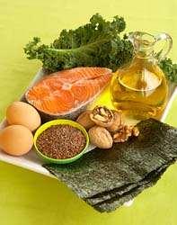 Lipids: Food Sources As you might have guessed, fatty foods contain