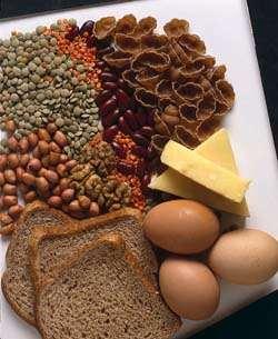 Proteins: Food Sources Proteins are found in