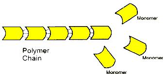 Monomers & Polymers Polymer: Large molecule consisting of many identical or similar building blocks linked by bonds