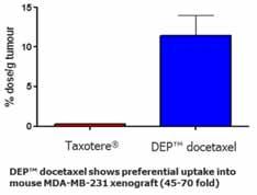 DEP Docetaxel Preclinical