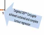 Targeted DEP outperforms leading treatments in ovarian cancer model Targeted DEP Efficacy of HER2-targeted DEP Conjugate vs Kadcyla and Herceptin in an Ovarian* Cancer Model SPL s novel