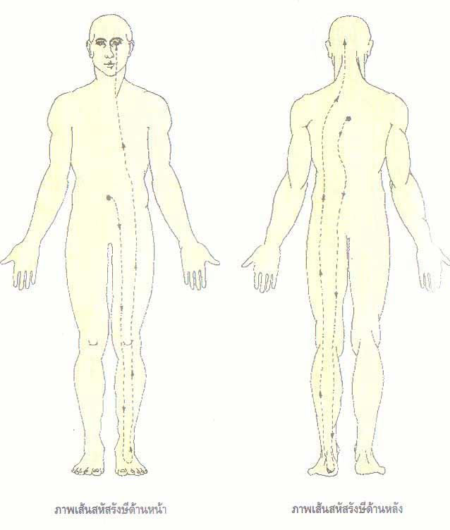 5). Sen Sahatsarangsi Starts at the navel, descends the inner left leg, turns at