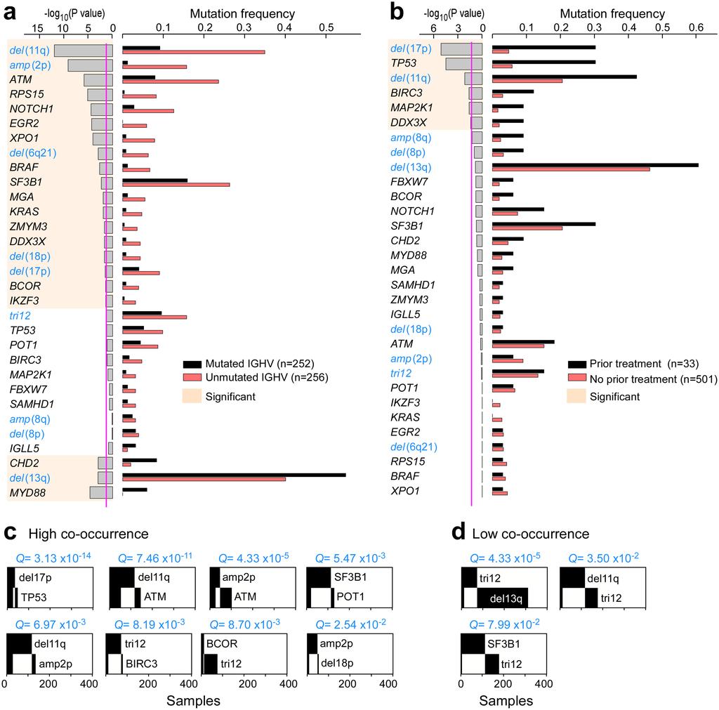 Extended Data Figure 6 Annotation of drivers based on clinical characteristics and co-occurrence patterns.
