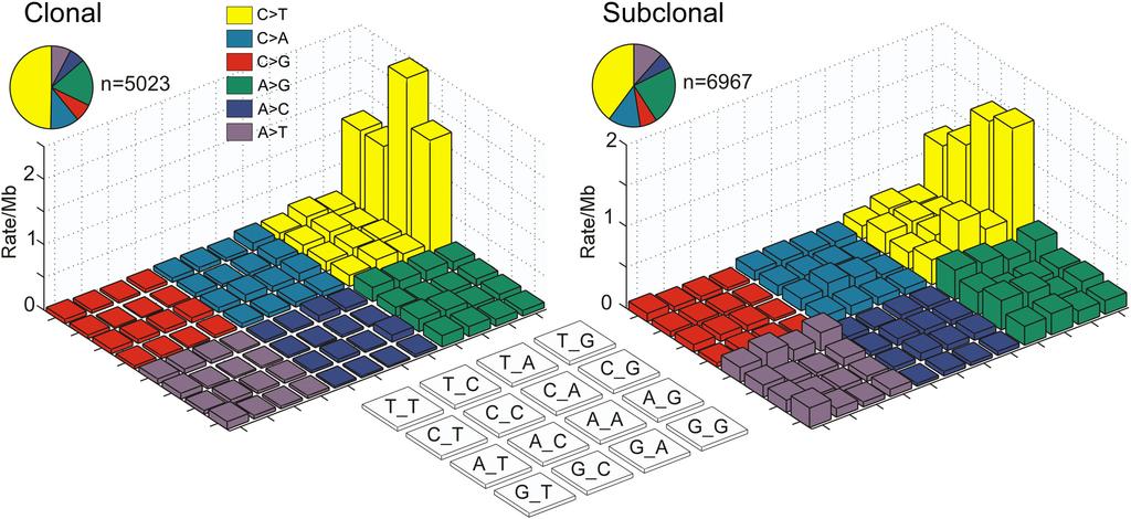 Extended Data Figure 7 Mutation spectrum analysis, clonal versus subclonal ssnvs.