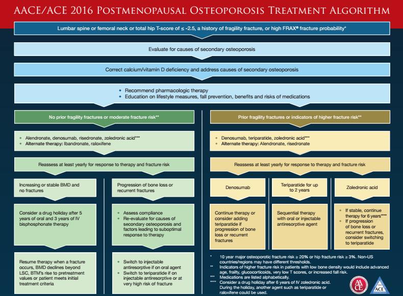 AACE Osteoporosis Treatment Guidelines - 2016 Bisphosphonate Holiday R34a.