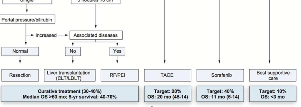 The Barcelona Clinic Liver Cancer Staging