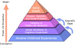 Connection and Regulation Early chronic unpredictable stressors, losses, and adversities, we face as children