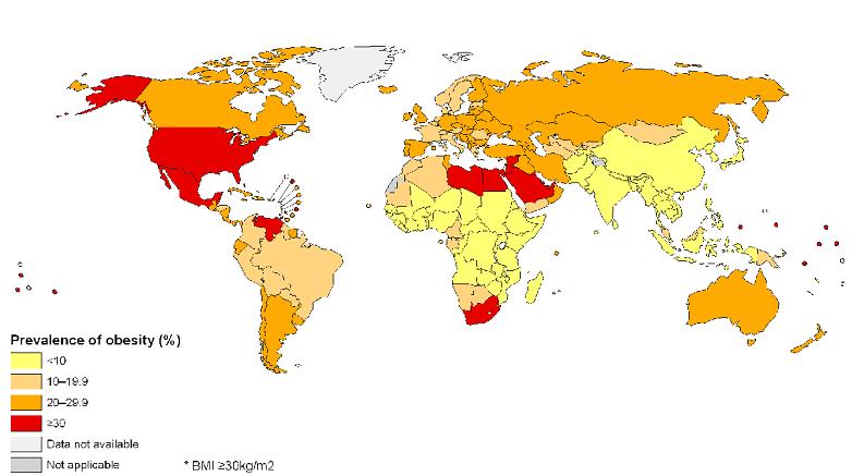Prevalence of Obesity (age