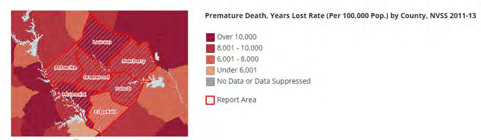 Mortality Premature Death Injury and Violence Note: This indicator is compared