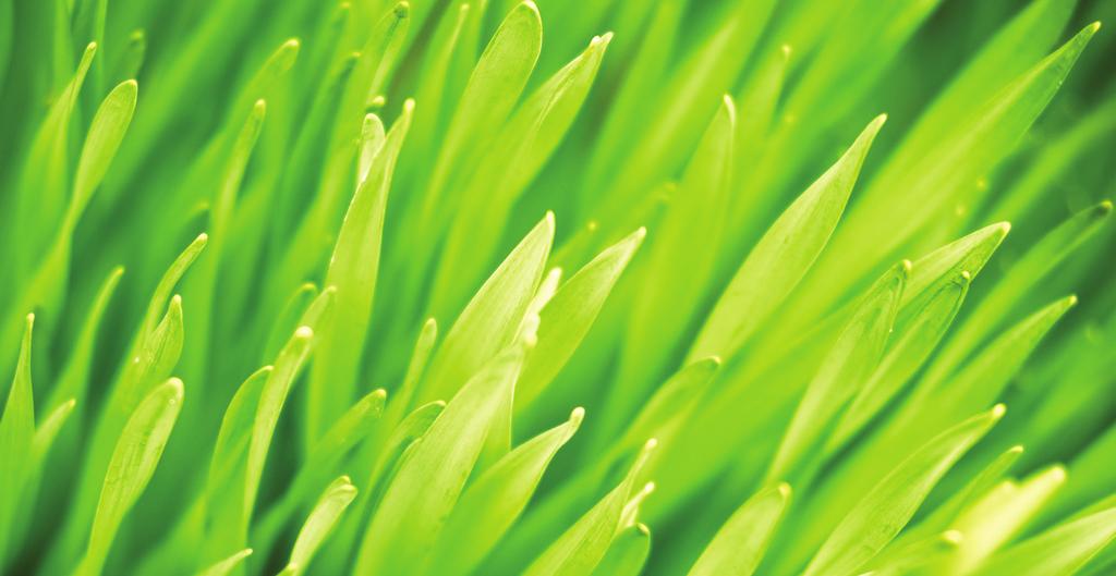 An innovative approach to cultivating healthy, beautiful turf in a uniquely natural way. GreenTRX : A Greener Green For turf managers and homeowners, plant nutrients are key to lush, green turf.