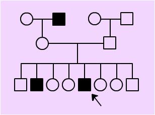 Pedigree Charts Show how a trait is passed from one generation to the next.