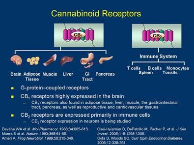 Endocannabinoids How can cannabis have medicinal use? The endocannabinoid system = endocannabinoids + endocannabinoid receptors Multiple and more to discover!