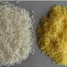 The bioconversion of the beta carotene in Golden Rice to Vitamin A is better than from conventional food sources ~40 g per day of Golden Rice, with 6
