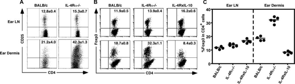 Although we cannot discount IL-10 from non-t cell sources such as macrophages, dendritic cells, or B cells, clearly a T cell source of IL-10 is playing a predominant role in L. major susceptibility.