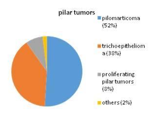 Different types of sweat gland tumors were as per Figure 3. Different types of Pilar tumors were as per Figure 4.