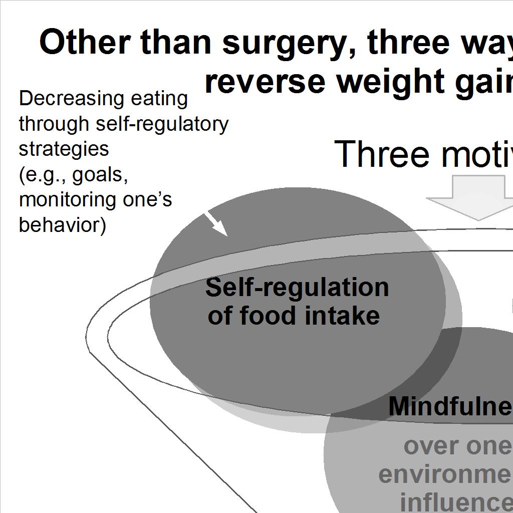 Comprehensive model of hunger regulation Environmental Influences Food variety, appearance Situational pressures Self-regulation motivation Hunger (Appetite) Glucostatic hypothesis Eating (Energy