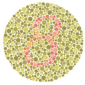 Red-green color blindness The most common form of color blindness Found in approximately 7% of male population in the US and only 0.