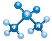 What is MSM? MSM is the abbreviation of Methyl-Sulfonyl-Methane and also known as Organic Sulfur (OS).
