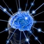 Neuroplasticity The brain is built to change in response to experience and training Structural Differences Ott, U., Hölzel, B.K., & Vaitl, D. Brain structure and meditation.