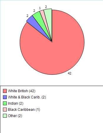 practice population well with a range of all ages, ethnicity and gender, as shown above.