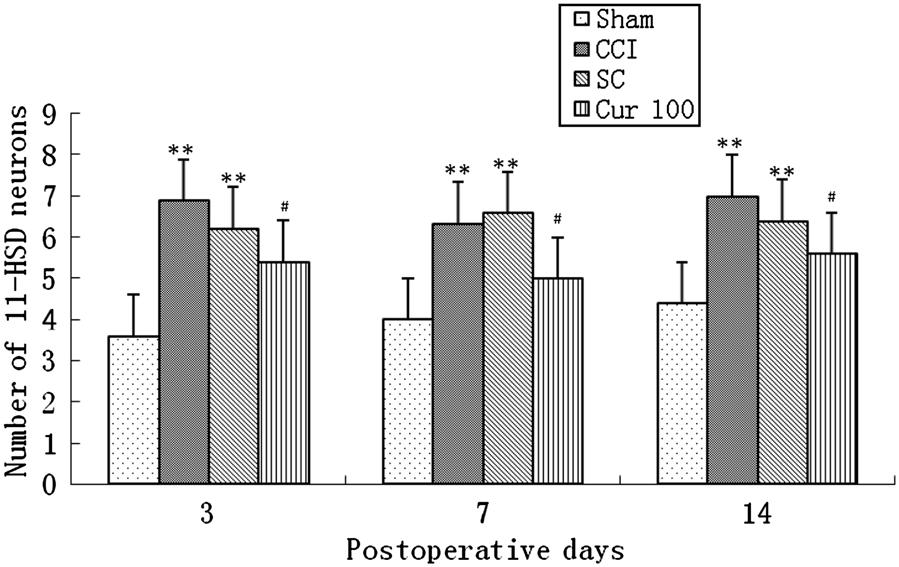 4 Effect of curcumin on the expression of 11bHSD 1 in dorsal root ganglion after CCI operation (mean ± SD, n = 6). **P\0.01 vs. sham group; # P\0.05 vs. CCI group.