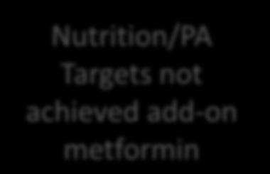 Initial visit Nutrition/physical activities Follow -up Nutrition/PA Targets not achieved add-on metformin Follow -up Targets for global care