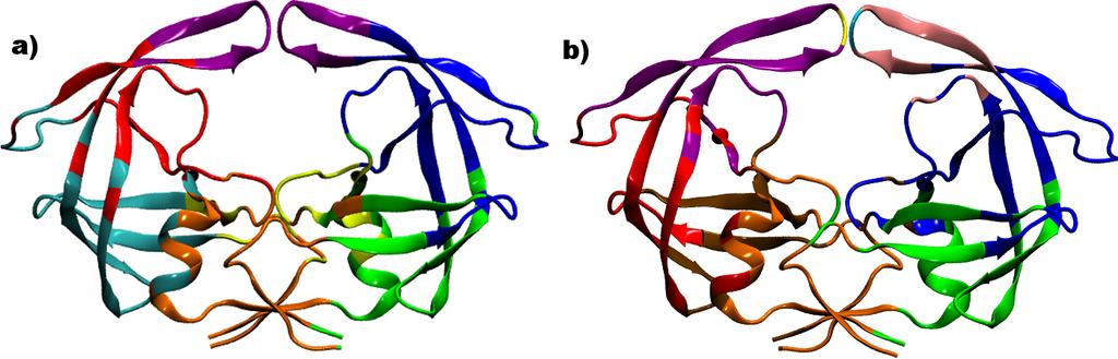 Figure S8: Community structure of (a) WT and (b) NAM variant of HIV-1 proteases as obtained through Louvain modularity maximization approach.