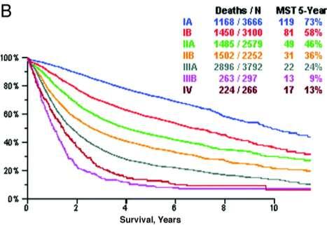 Survival by Clinical and Pathologic Stage Proposed IASLC