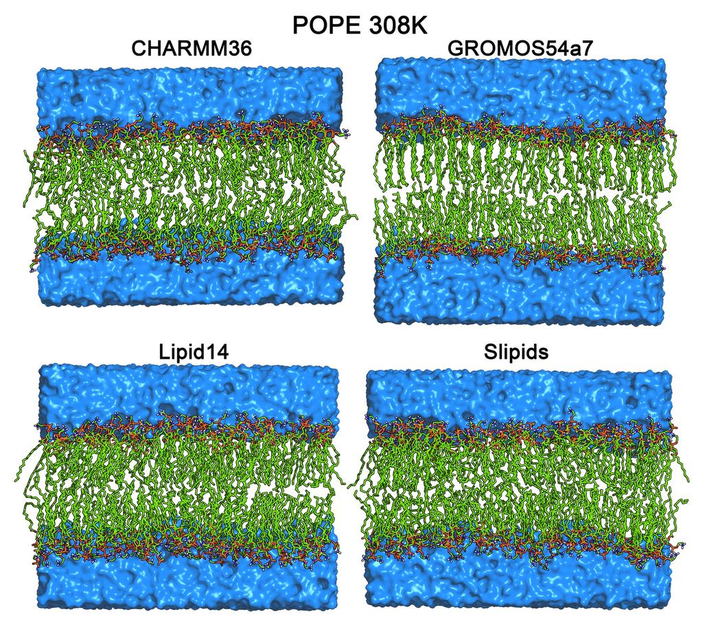 Figure S1: POPE simulation systems after 200 ns simulation time at 300 K. Only GROMOS54a7 which is partially in a gel phase doesn t exhibit a proper fluid phase.