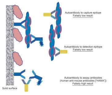 Heterophile Antibody Interference Heterophile Ab are antibodies induced by