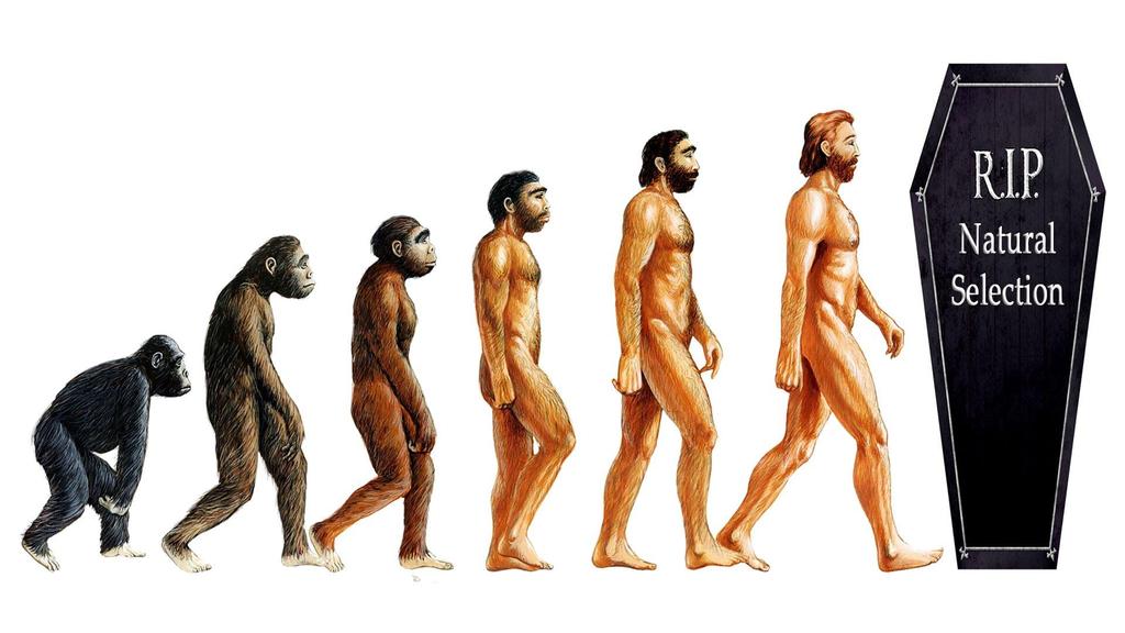 Evolutionary Psychology Evolutionary psychology is the application of Darwinism to the understanding of human