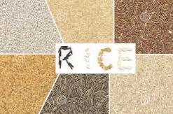 Introduction Rice (Oryza sativa L.