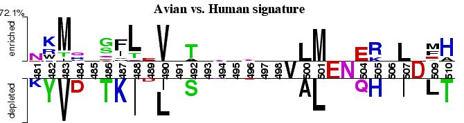 While positions 264 and 356 (gray highlight in table1) were informative for finding signatures both for human vs. avian and human vs. swine.