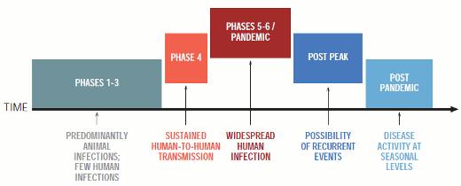 The WHO described a series of pandemic phases in 1999 and revised these in 2005 and 2009 to provide a global framework and aid in pandemic preparedness and response planning.