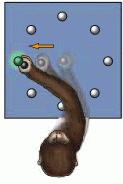 Hand-centred Reference Frame (primary motor cortex) Task The monkey moves lever from centre in direction indicated by a light.